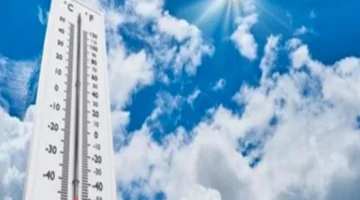 حالة الطقس غدًا: أجواء مائلة للدفء نهارًا والصغرى في القاهرة 14 درجة